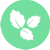 FresherBreath  Logo