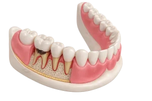 Home 19 dental1
